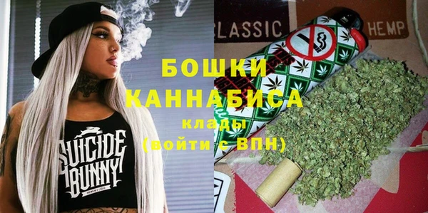 индика Дмитровск