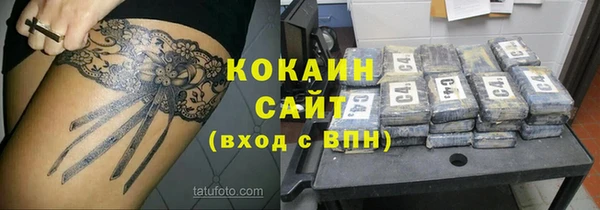 индика Дмитровск