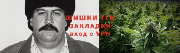 твердый Елизово