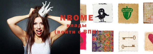 индика Дмитровск
