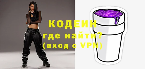 индика Дмитровск