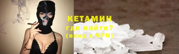 индика Дмитровск