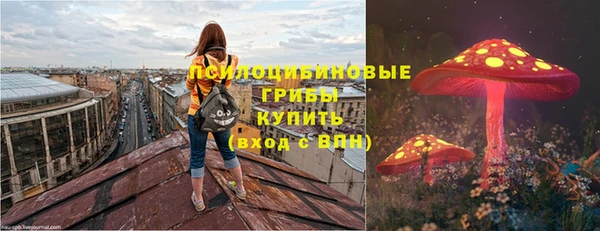 индика Дмитровск