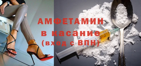 индика Дмитровск