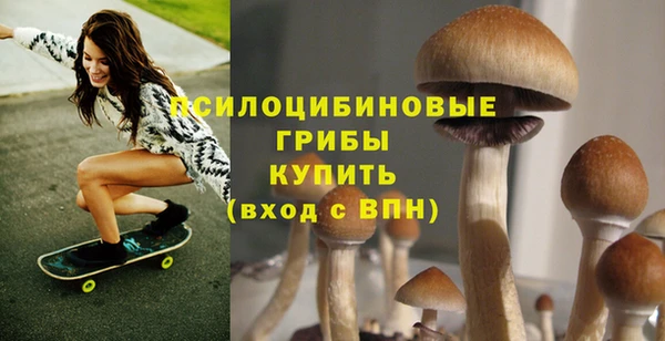 винт Дмитриев