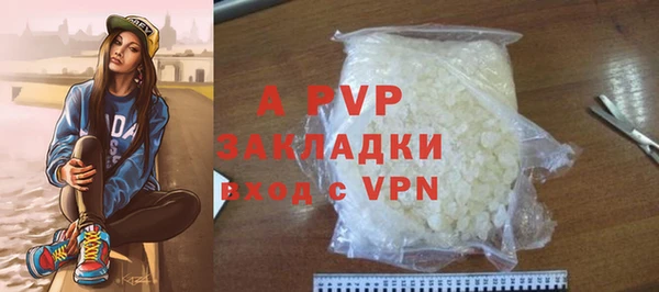 индика Дмитровск