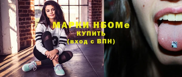 твердый Елизово