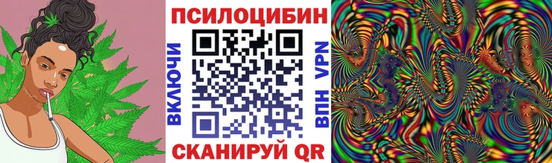 Псилоцибиновые грибы Psilocybe  Чухлома 