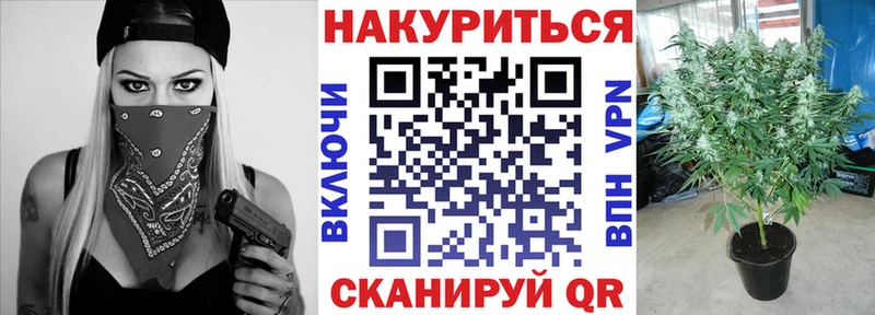 Шишки марихуана семена  блэк спрут ССЫЛКА  Чухлома  наркота 
